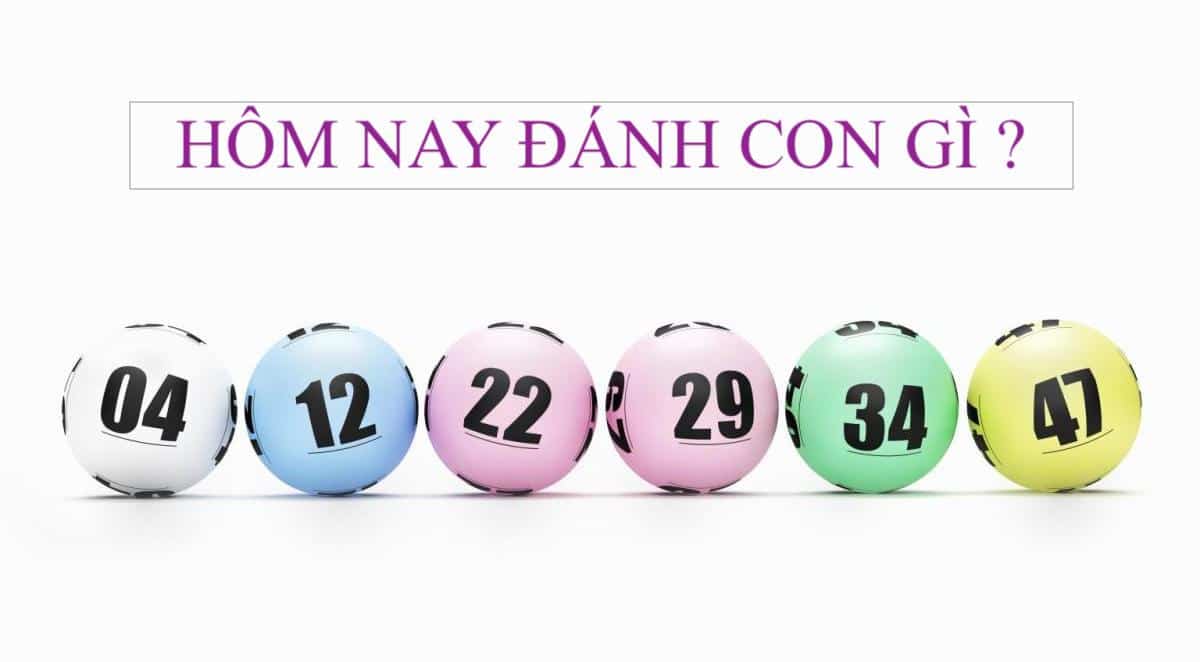 Đan xen l&ocirc; hay về theo thứ 3 với l&ocirc; rơi